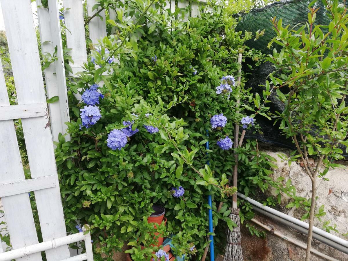 Casa Deli - Le Farfalle Blu シラクーサ エクステリア 写真