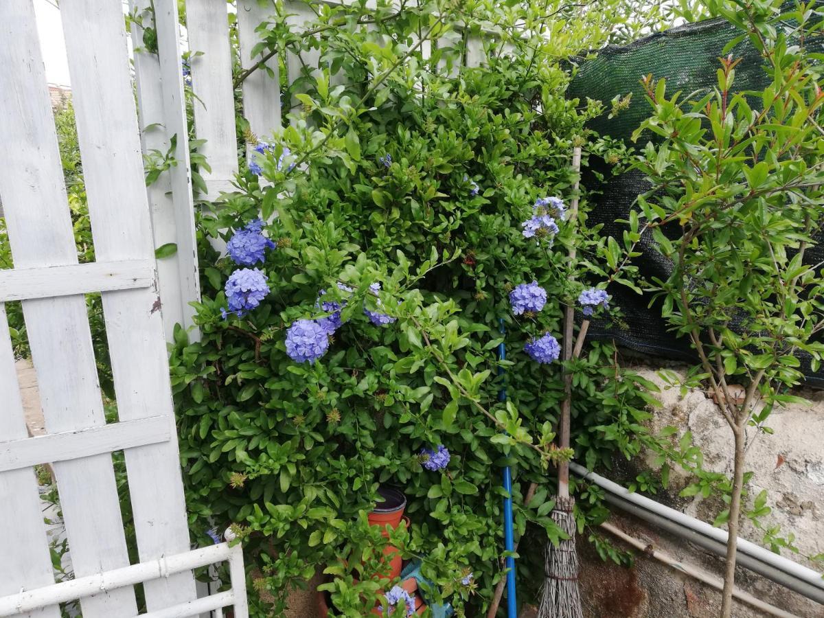 Casa Deli - Le Farfalle Blu シラクーサ エクステリア 写真